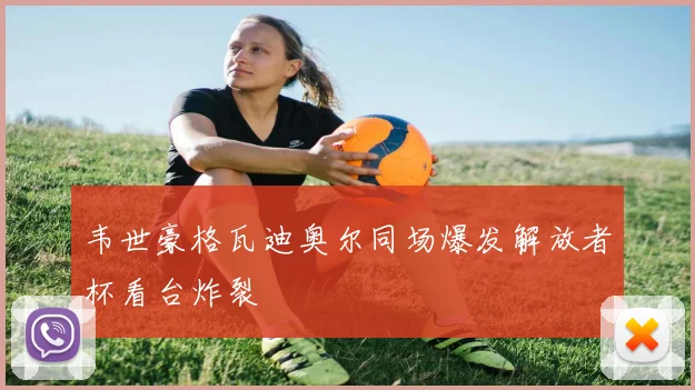韦世豪格瓦迪奥尔同场爆发解放者杯看台炸裂