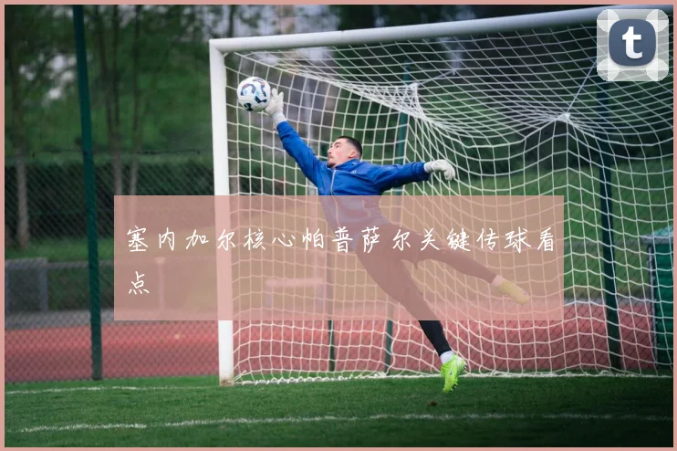 塞内加尔核心帕普萨尔关键传球看点