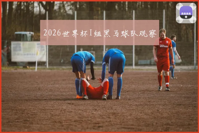 2026世界杯I组黑马球队观察