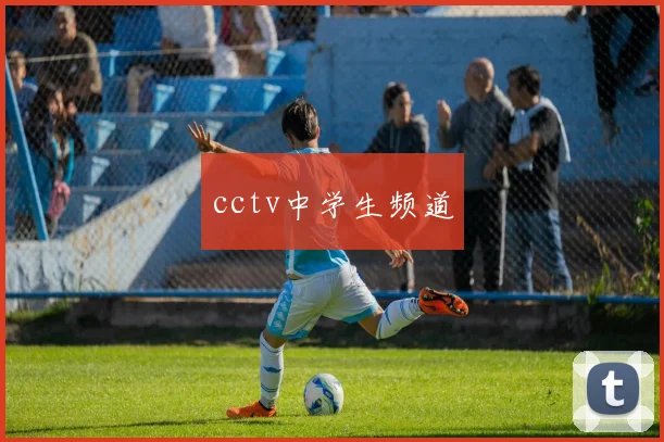 cctv中学生频道