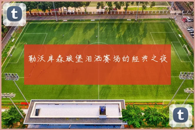 勒沃库森狼堡泪洒赛场的经典之夜