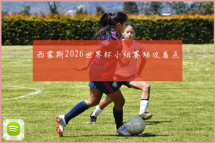 西蒙斯2026世界杯小组赛助攻看点
