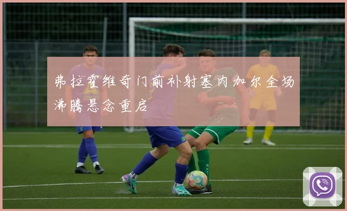 弗拉霍维奇门前补射塞内加尔全场沸腾悬念重启