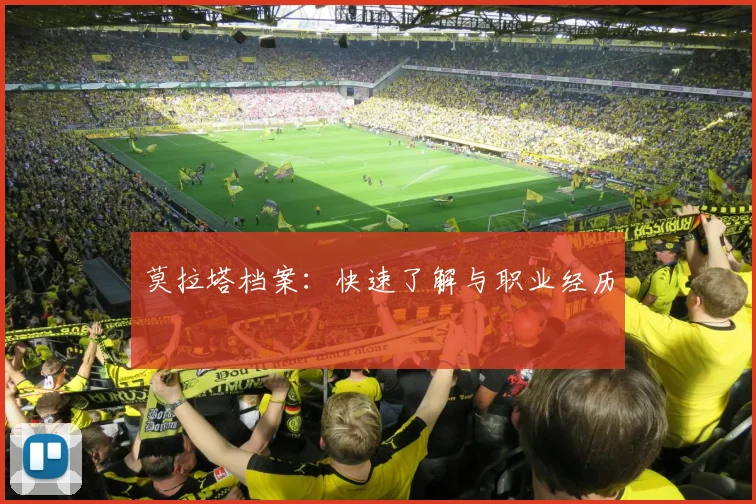 莫拉塔档案：快速了解与职业经历