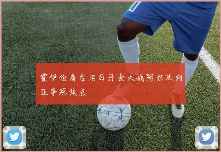 霍伊伦看台泪目丹麦大战阿尔及利亚争冠焦点